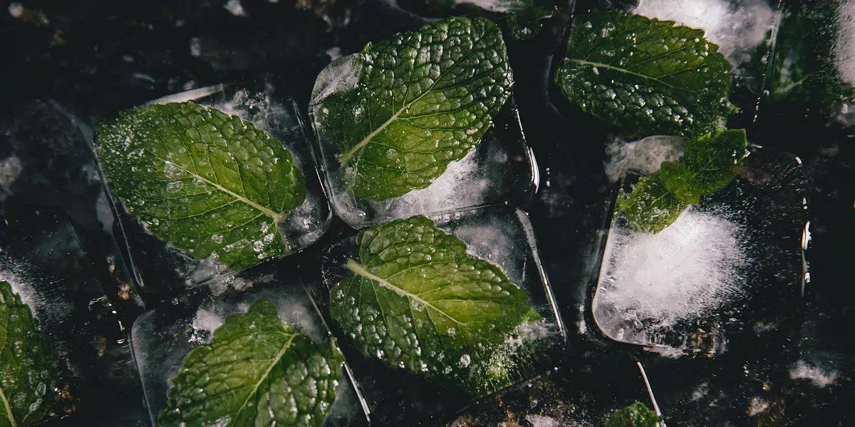 10 astuces s'endormir quand il fait chaud