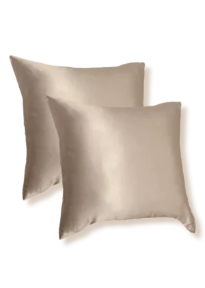 lot de 2 taie oreiller en soie 65x65 taupe